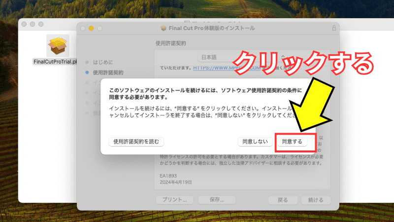 使用許諾契約に納得してから『同意する』をクリックする