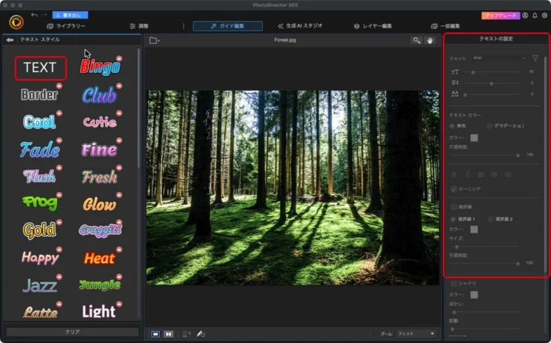 PhotoDirectorのテキストスタイルの画面