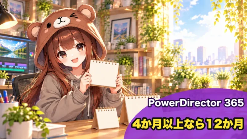 4か月以上使うなら12か月プラン