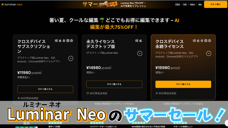 Luminar Neoのサマーセール購入手順