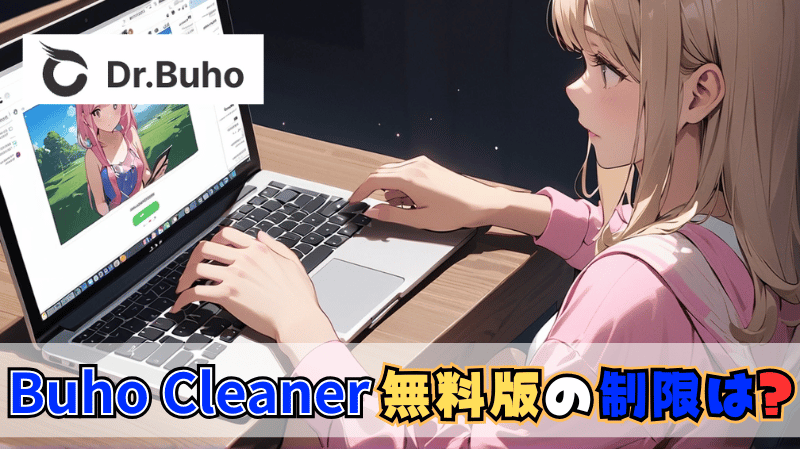 無料版BuhoCleanerの制限について