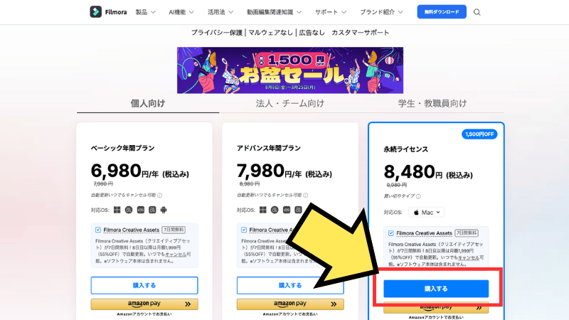 永続ライセンスを選択する