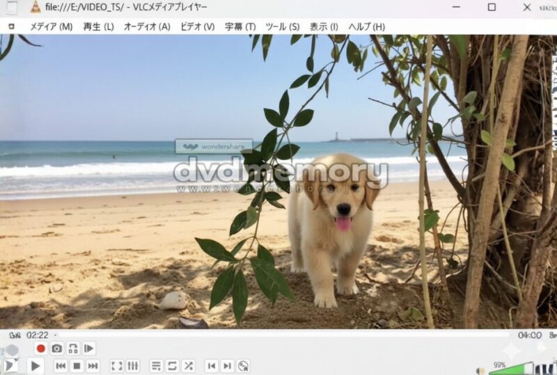 DVD Memoryのロゴ透かしの画像